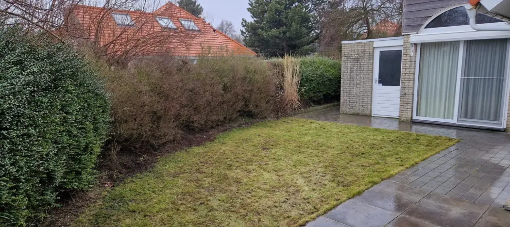 C335bb96 2cbb 44ee 98fb 00d169adbb17