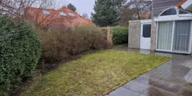 C335bb96 2cbb 44ee 98fb 00d169adbb17