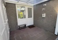 IMG 0858