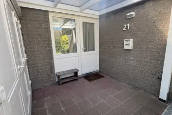 IMG 0858